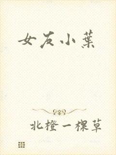 女友小叶