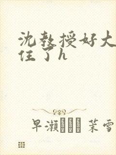 沈教授好大含不住了h