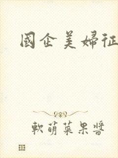 国企美妇征途