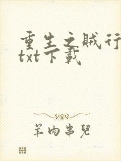 重生之贼行天下txt下载