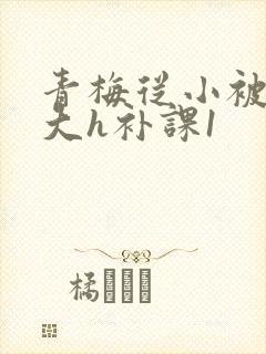 青梅从小被c到大h补课1