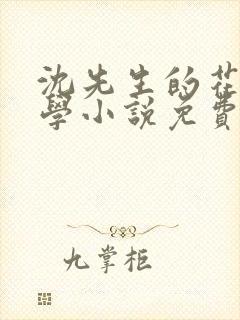 沈先生的花式教学小说免费