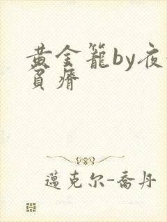 黄金笼by夜很贫瘠