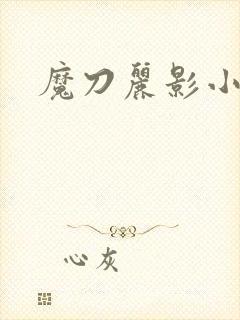 魔刀丽影小说