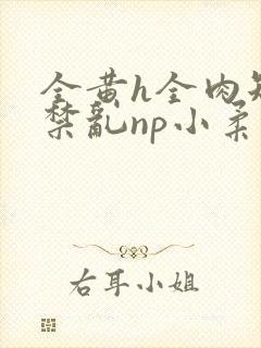 全黄h全肉短篇禁乱np小柔