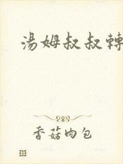 汤姆叔叔转接口