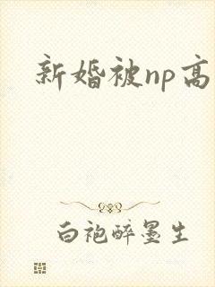 新婚被np高h