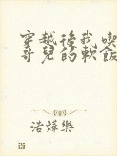 穿越后我吃到了哥儿的软饭炉山灰