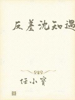 反差沈知遇晏应