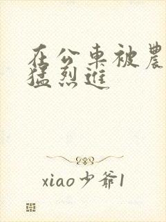 在公车被农民工猛烈进