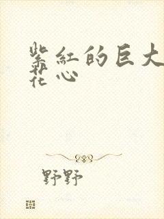 紫红的巨大顶开花心