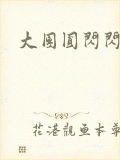 大团圆闪闪发光