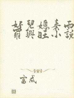 好儿媳秦雨罗明罗兴旺小说