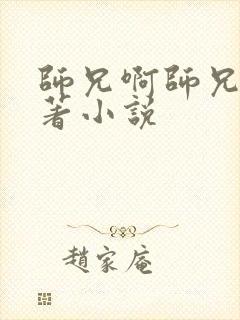 师兄啊师兄的原著小说