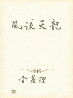 风流天龙