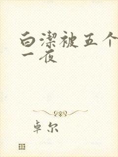 白洁被五个人玩一夜