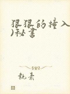 狠狠的撞入(h)秘书