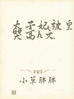 太子妃被皇上c哭高h文