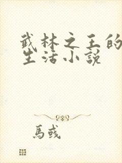 武林之王的退隐生活小说