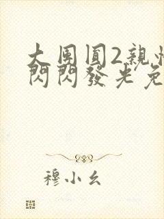 大团圆2亲情会闪闪发光免费