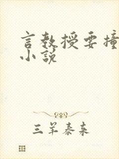 言教授要撞坏了小说