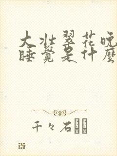 大壮翠花晚上不睡觉是什么电视剧