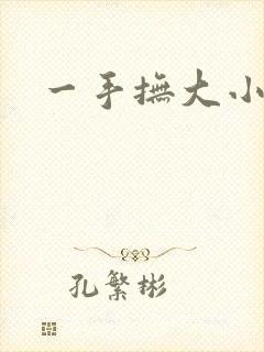 一手抚大小说