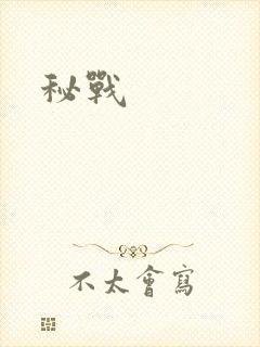 秘战