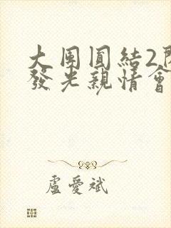 大团圆结2闪闪发光亲情会