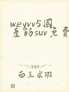 weyvv5国产的suv免费