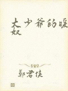 大少爷的暖床小奴