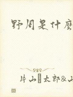 野周是什么意思