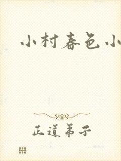 小村春色小说