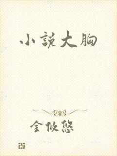 小说大胸