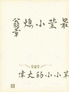 翁熄小莹最新节章