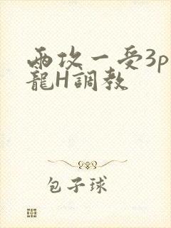 两攻一受3p双龙H调教