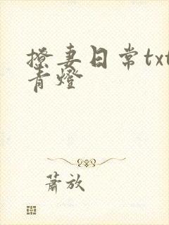 撩妻日常txt青灯