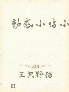 动感小站小蝶