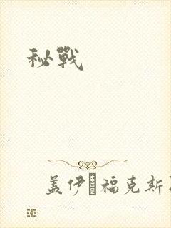 秘战