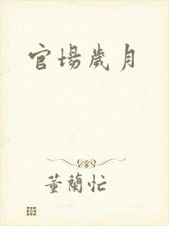 官场岁月