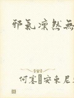 邪气凛然无弹窗