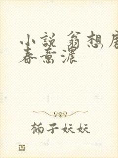 小说 翁想房中春意浓