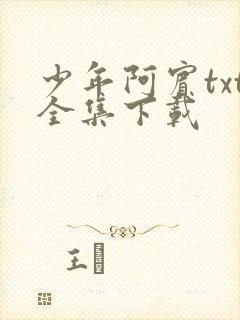 少年阿宾txt全集下载