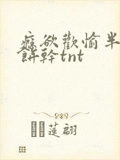 瘾欲欢愉半块小饼干tnt