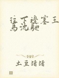 往下边塞玉器骑马沈驰