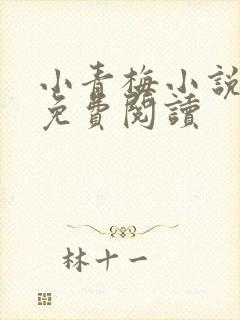 小青梅小说全文免费阅读