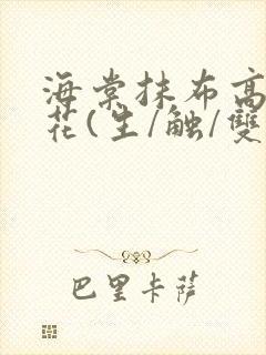 海棠抹布高岭之花(生/触/双)