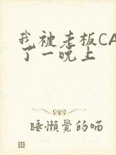 我被老板CAO了一晚上