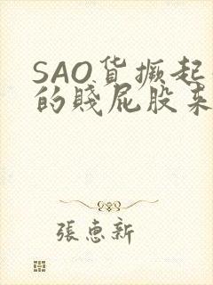 SAO货撅起你的贱屁股来