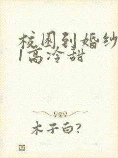 校园到婚纱1V1高冷甜